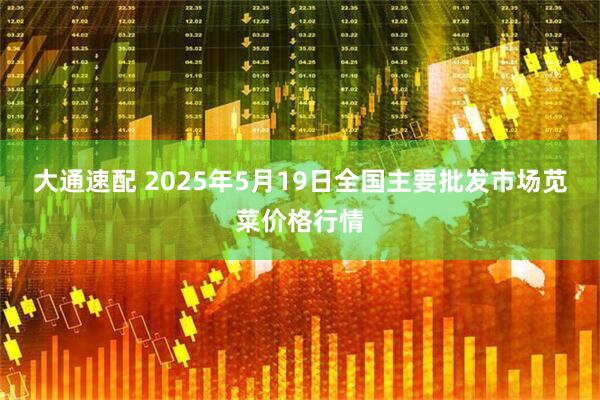 大通速配 2025年5月19日全国主要批发市场苋菜价格行情