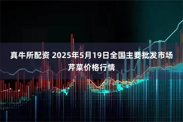 真牛所配资 2025年5月19日全国主要批发市场芹菜价格行情