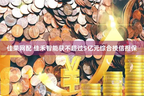 佳荣网配 佳禾智能获不超过5亿元综合授信担保