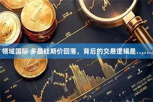 领域国际 多晶硅期价回落，背后的交易逻辑是……